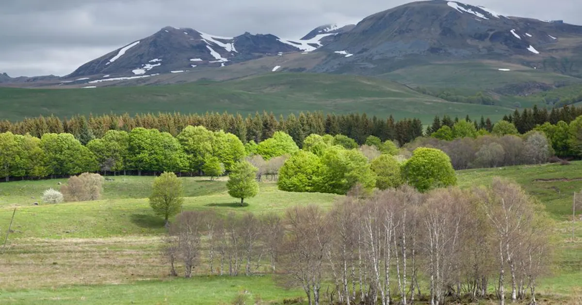 Paysage d'Auvergne-Rhône-Alpes