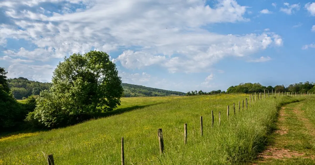 Paysage de Bourgogne-Franche-Comté