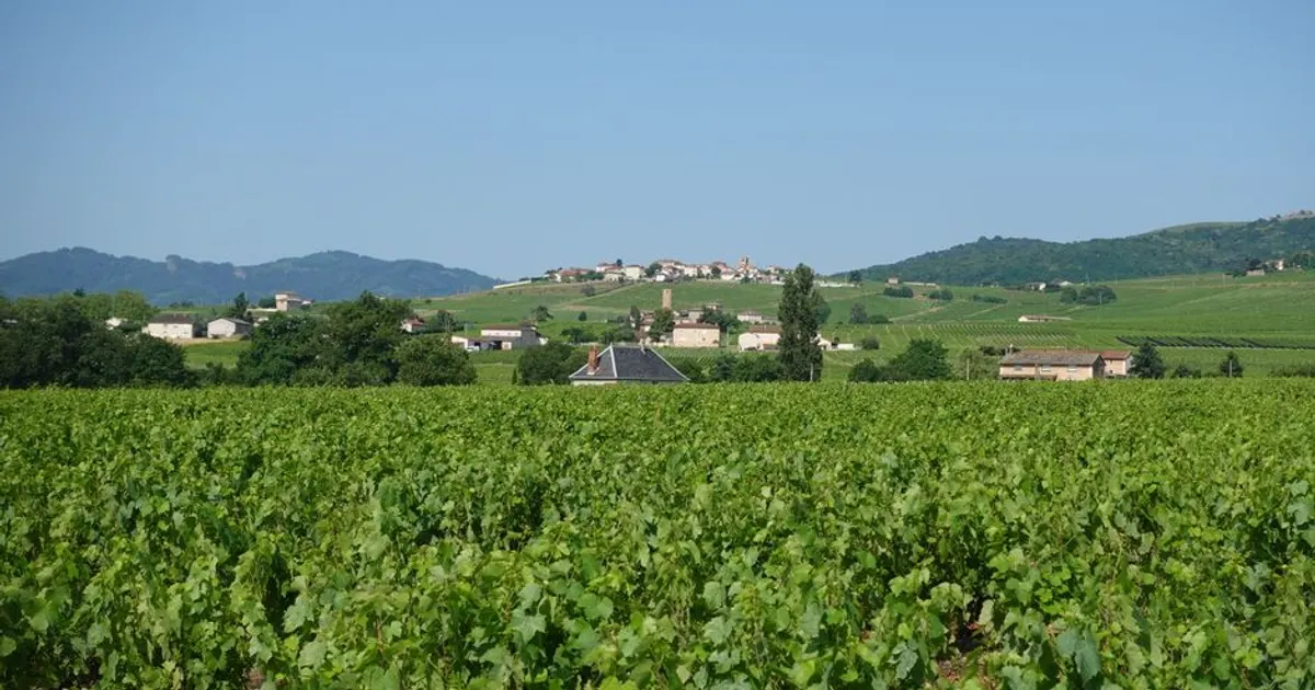 Paysage du Côte-d'Or