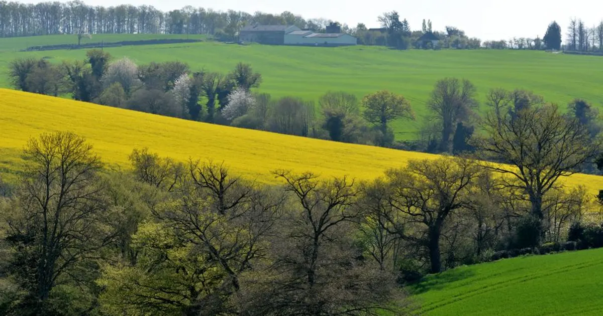 Paysage du Creuse