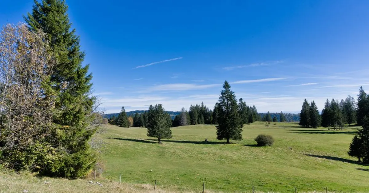 Paysage du Jura