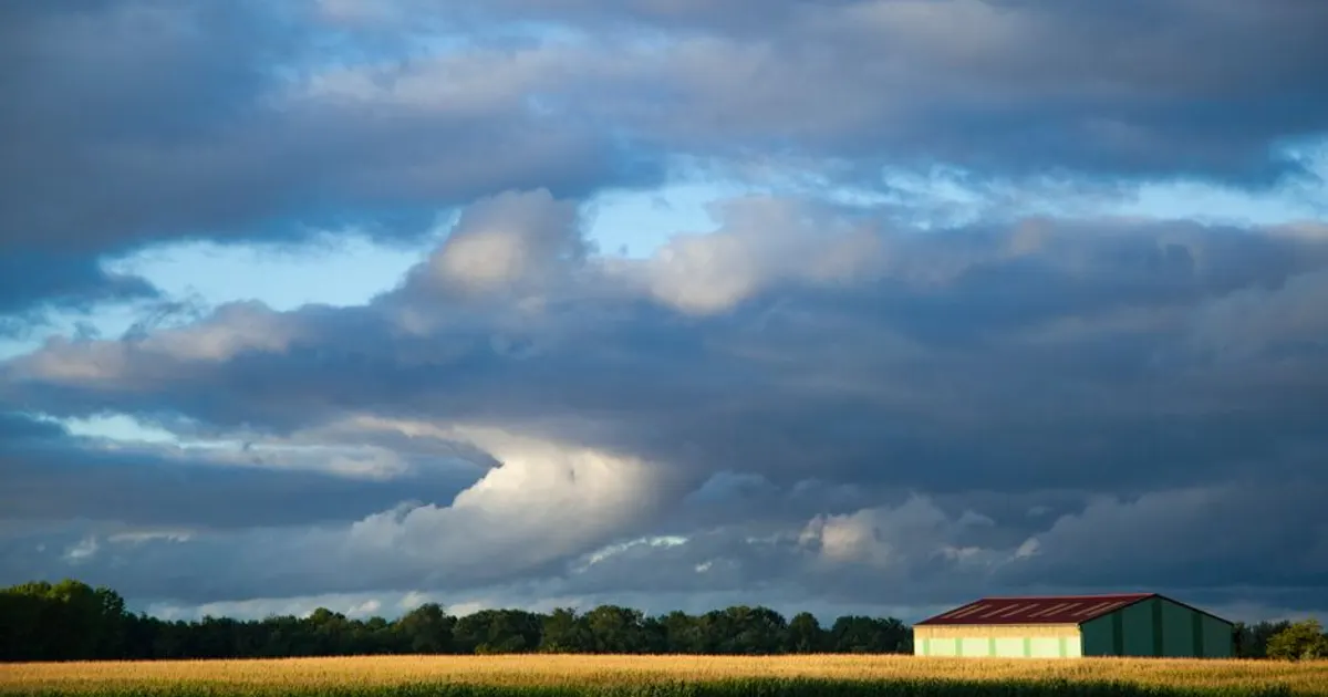 Paysage du Marne