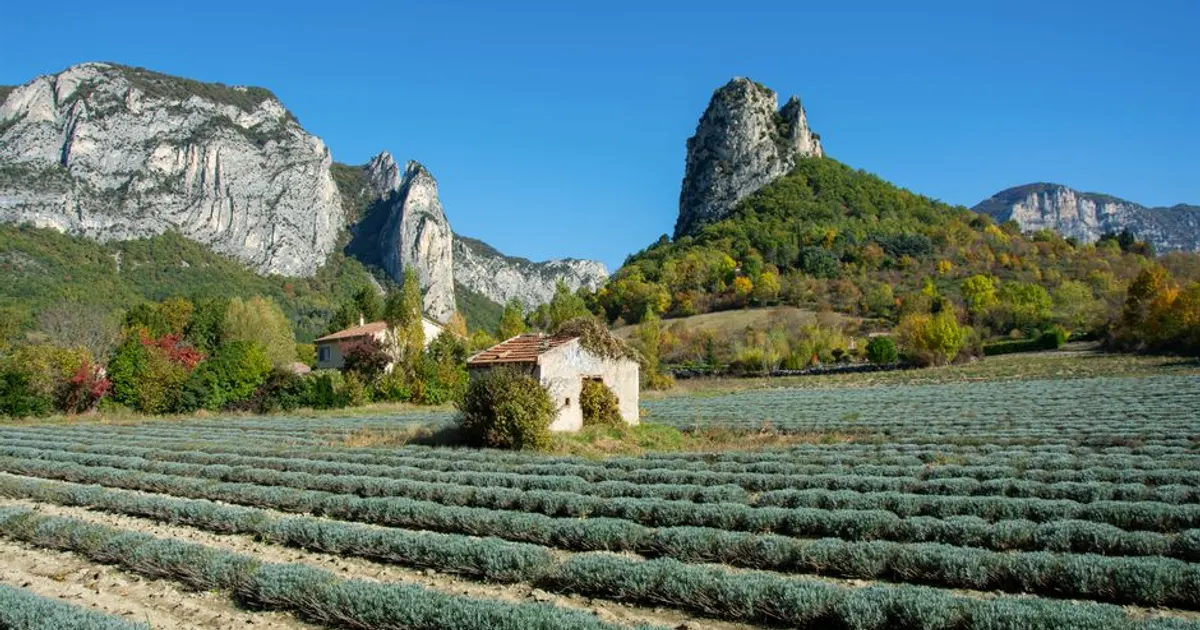 Paysage du Rhône