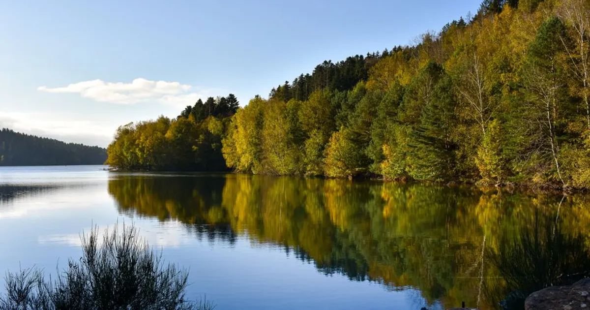 Paysage du Vosges